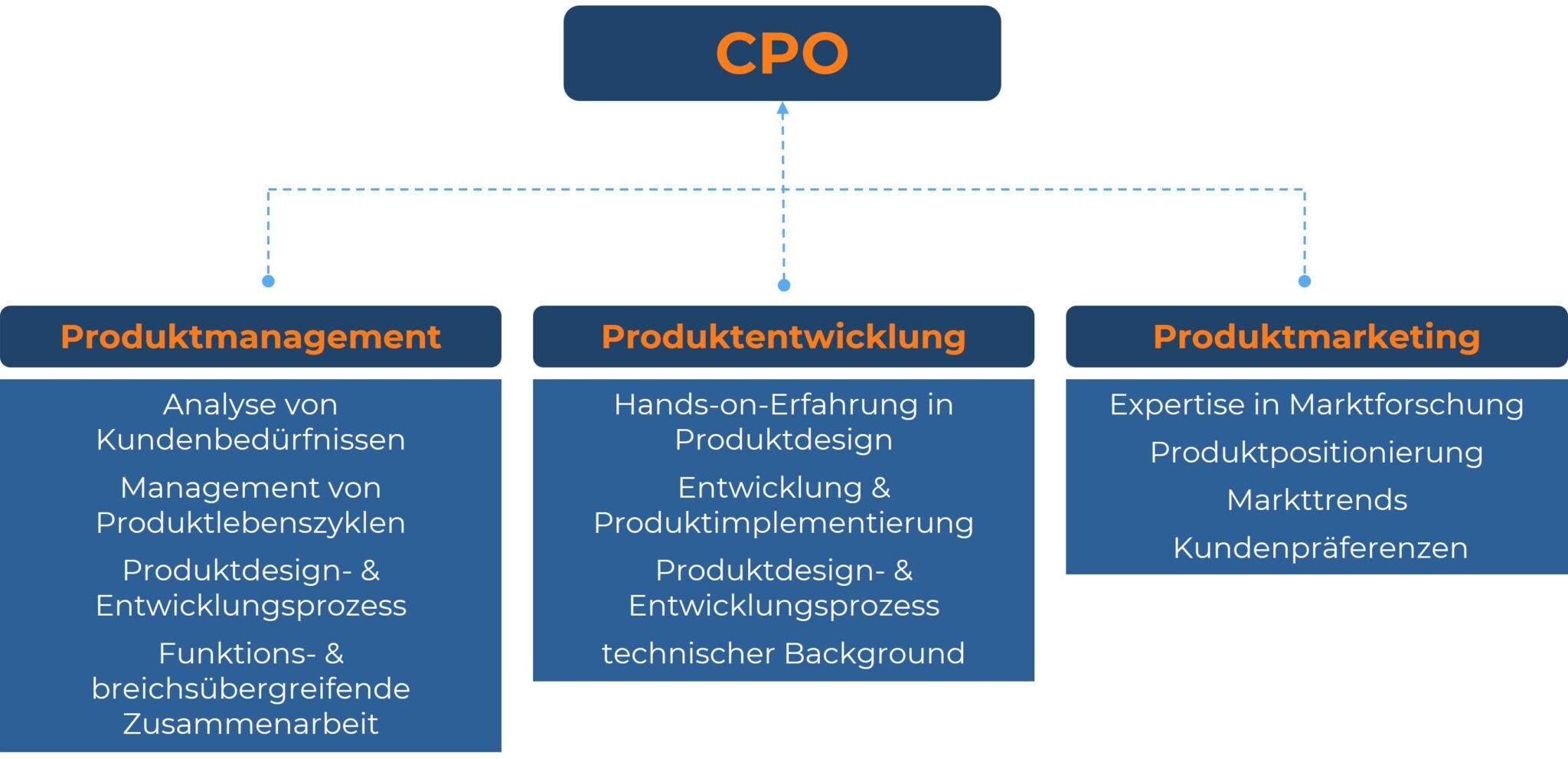 Die drei wichtigsten Karriereschienen zum CPO: Produktmanagement, Produktentwicklung und Produktmarketing. Plus Kompetenzen-Liste.