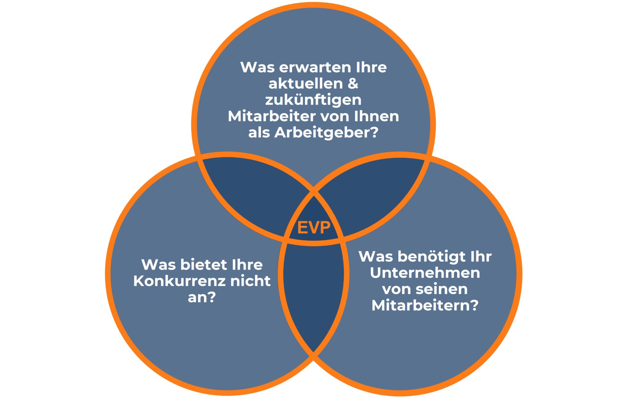 EVP-Analyse: Erwartungen, Unternehmensbedarfe und Wettbewerbsvorteile im Arbeitgeberkontext vereint.