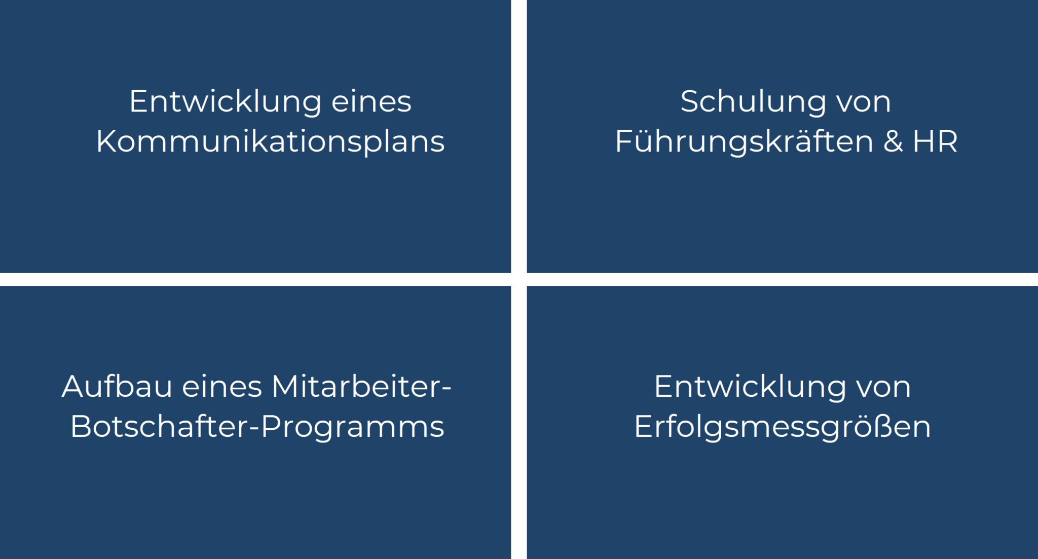 Kachel-Grafik zeigt Maßnahmen bei EVP-Implementierung: Kommunikationsplan, Führungskräfteschulung, Botschafter-Programm und Erfolgsmessgrößen entwickeln.