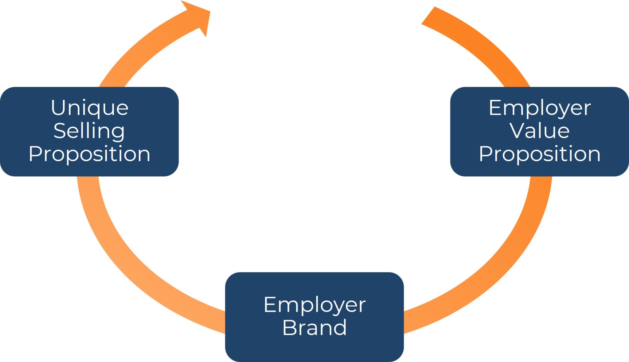 Grafik zeigt Kreislauf: Von der Employer Value Proposition über Employer Brand zur Unique.